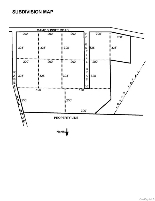 Lot #4 Camp Sunset And Rabbit Run Road, Plattekill, NY 12568