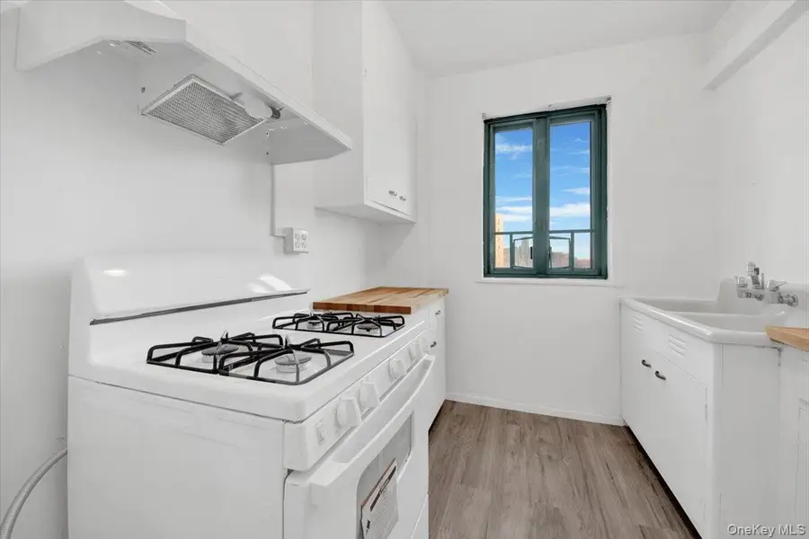 99 Metropolitan Oval #8F, Bronx, NY 10462 - Image #3