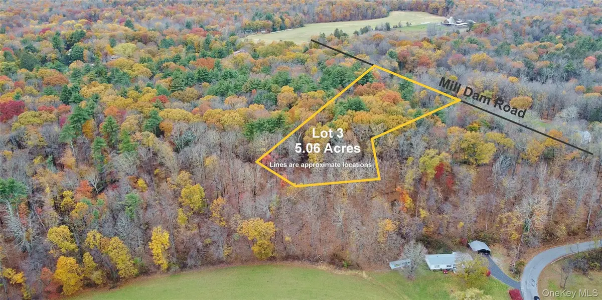 155 Mill Dam Road, Stone Ridge, NY  - Image #1