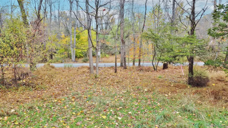 155 Mill Dam Road, Stone Ridge, NY  - Image #3