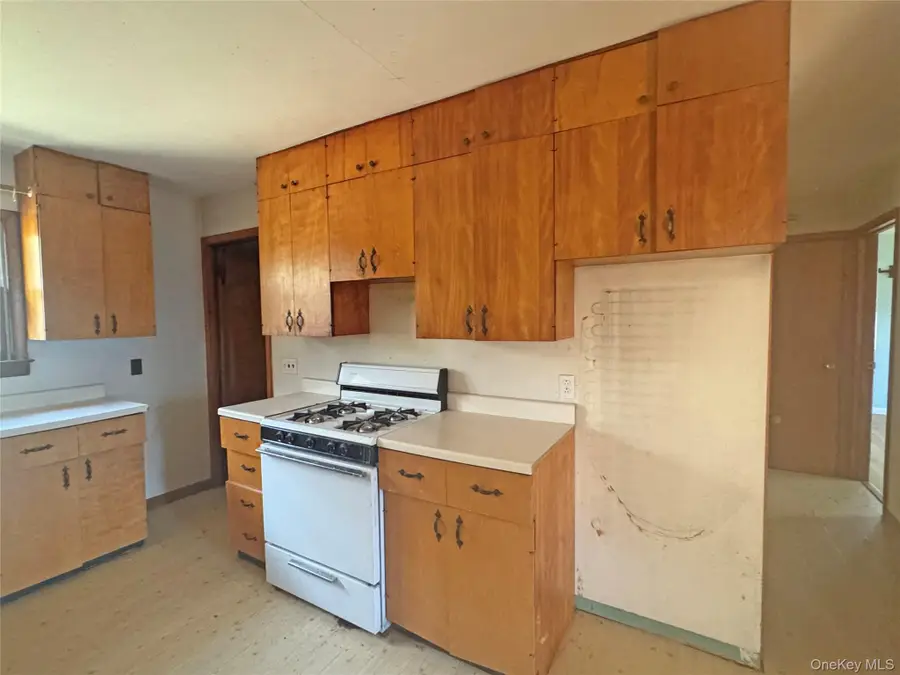 55 Monti Drive, Cairo, NY 12413 - Image #2