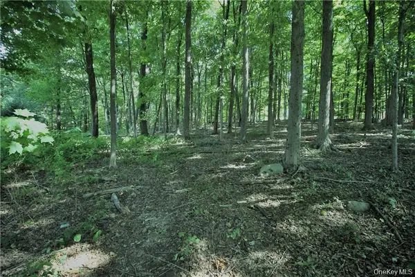 58-62 Walmer Lane, Cold Spring, NY 10516