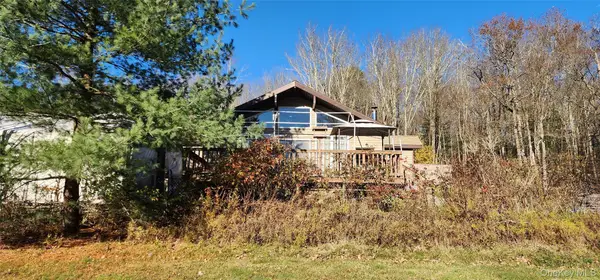 371 Kelly Bridge Road #365, Swan Lake, NY 12783