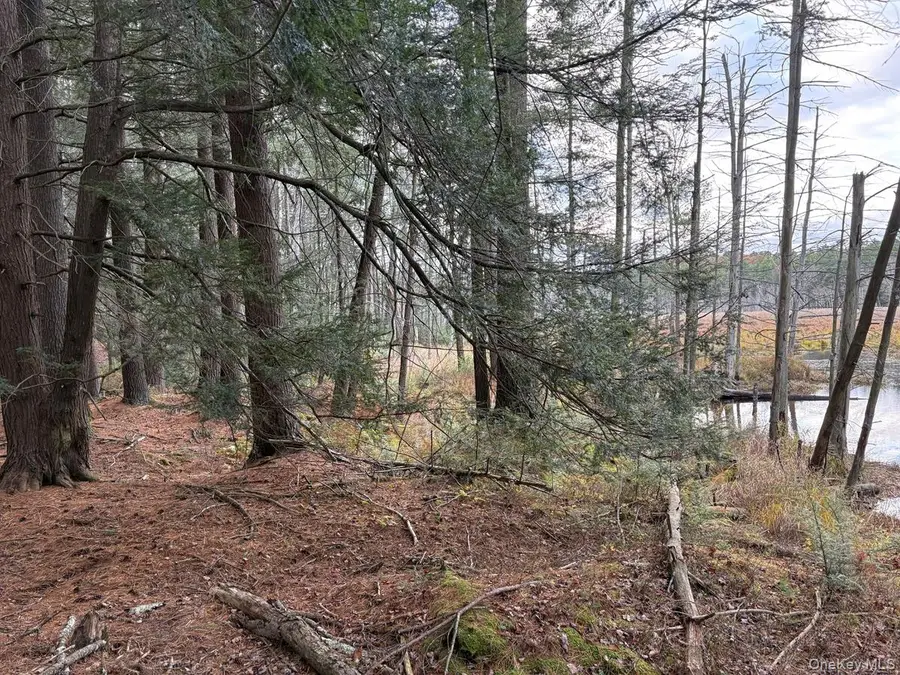 0 Puckyhuddle Road, Bethel, NY 12720 - Image #2