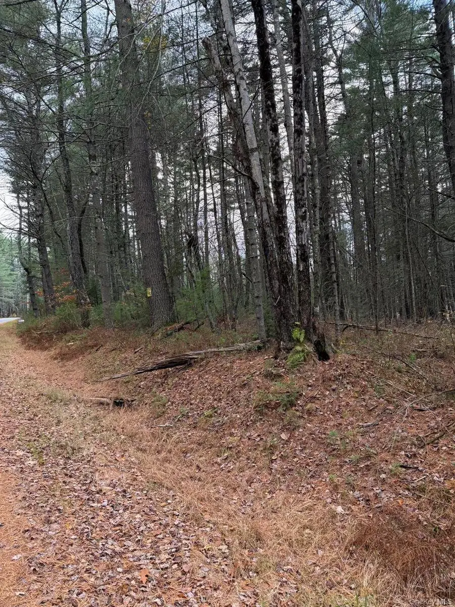 0 Puckyhuddle Road, Bethel, NY 12720 - Image #3