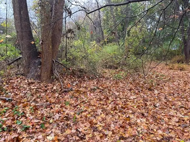 252 Milltown, Brewster, NY 10509 - Image #2