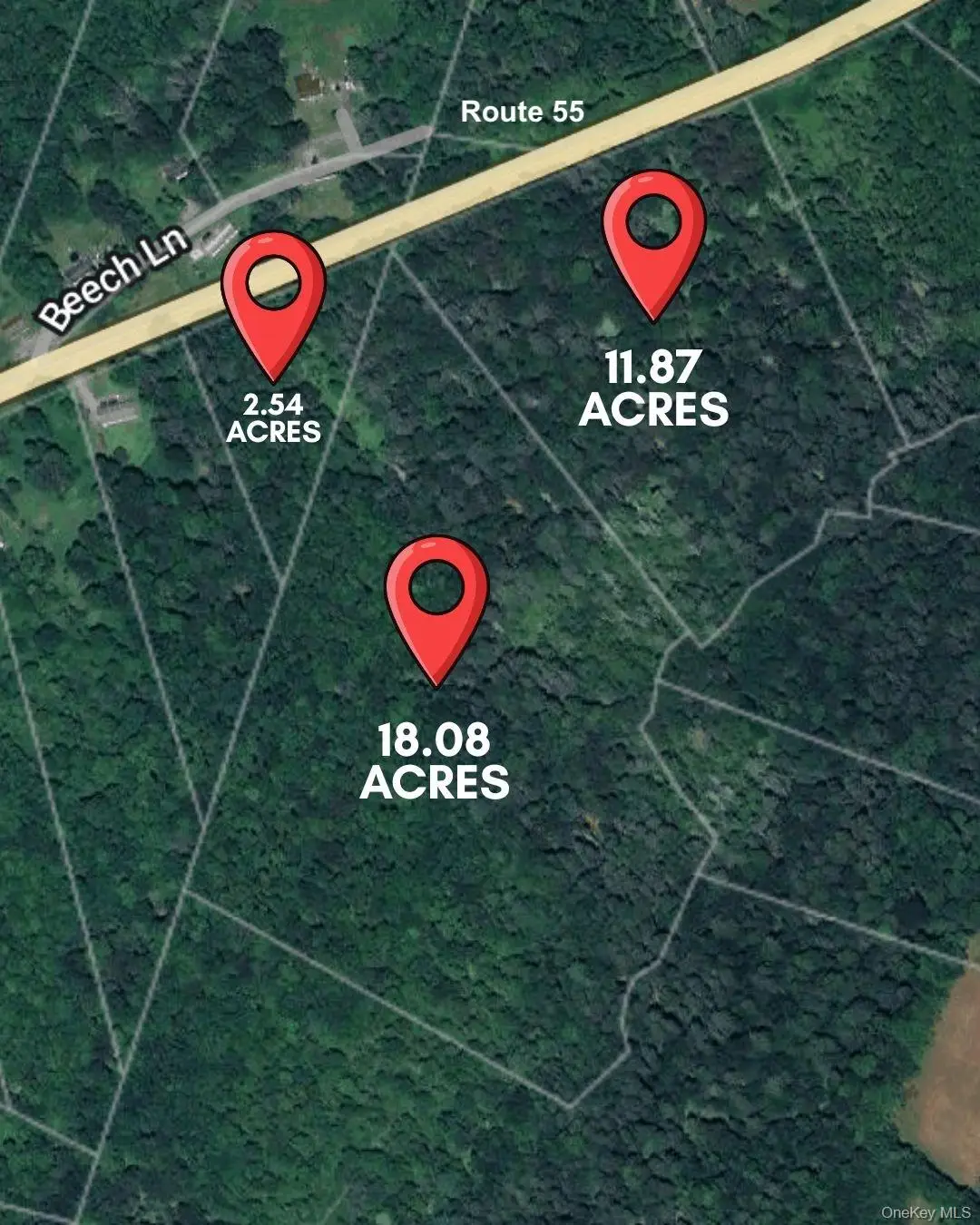 3 Lots Neversink Road, Liberty, NY 12754 - Image #1