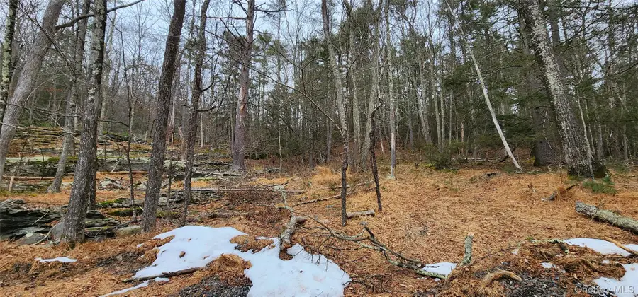 Deer Hill Road, Wurtsboro, NY 12790 - Image #2