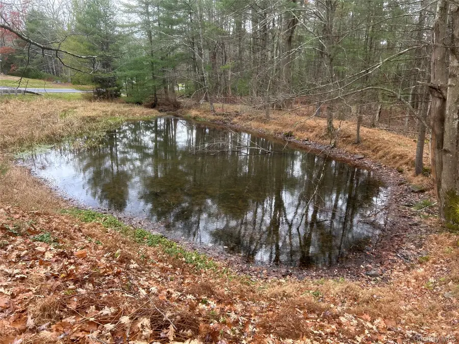 65 Eldred Yulan Road, Eldred, NY 12732 - Image #3