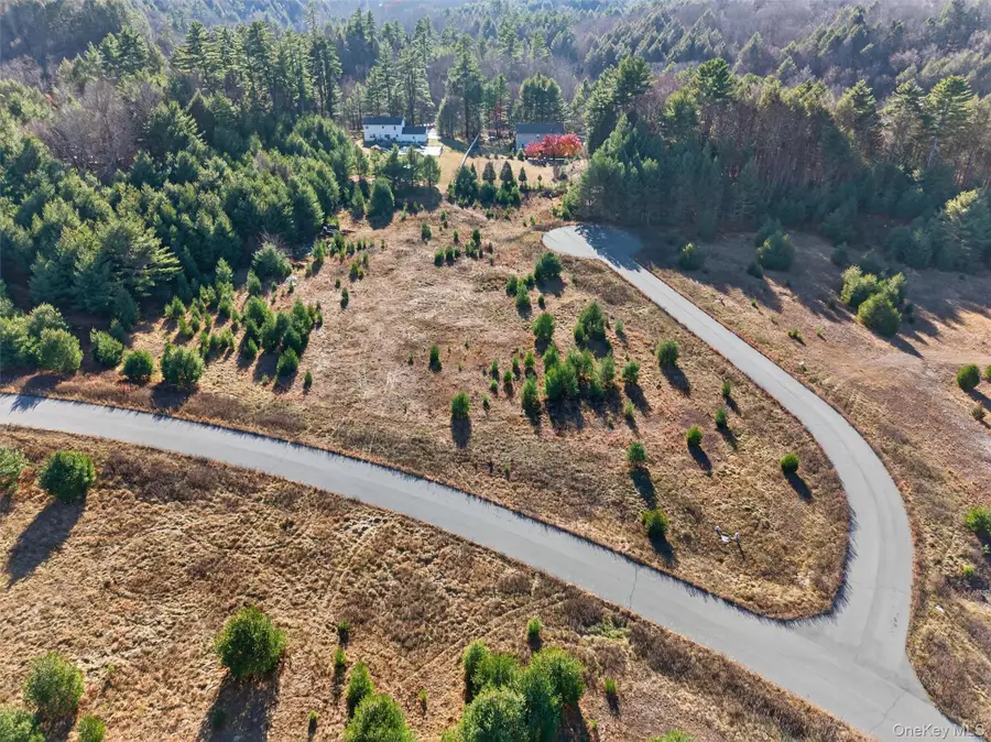 Marsh Road, Fallsburg, NY 12733 - Image #3