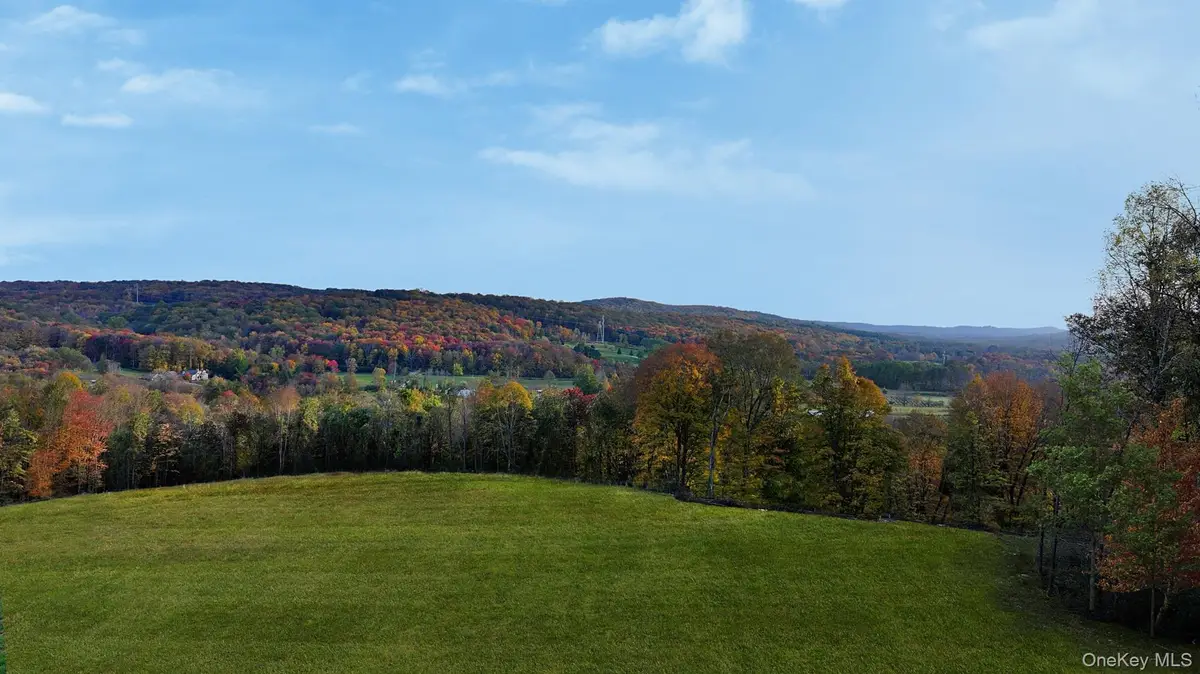 Brush Hill Road, Millbrook, NY 12545 - Image #1