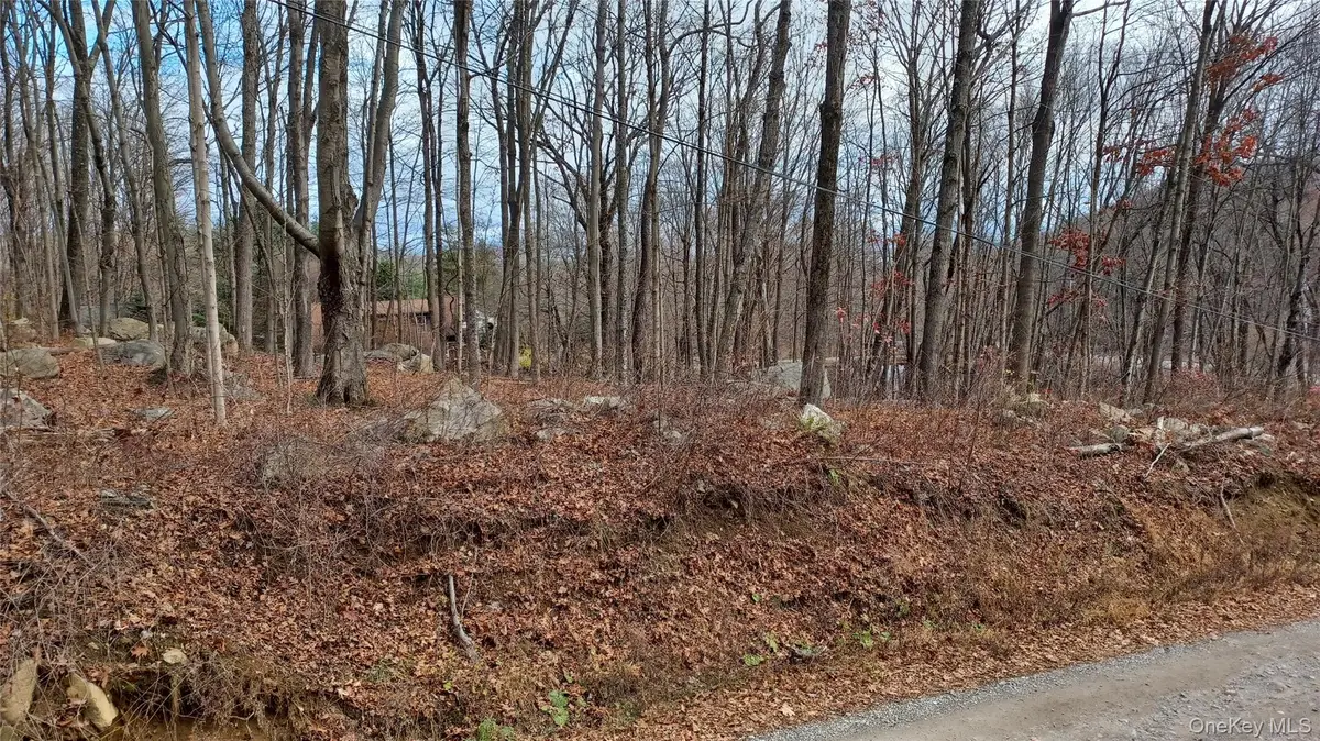 4 Prout Lane, Stormville, NY 12582 - Image #1