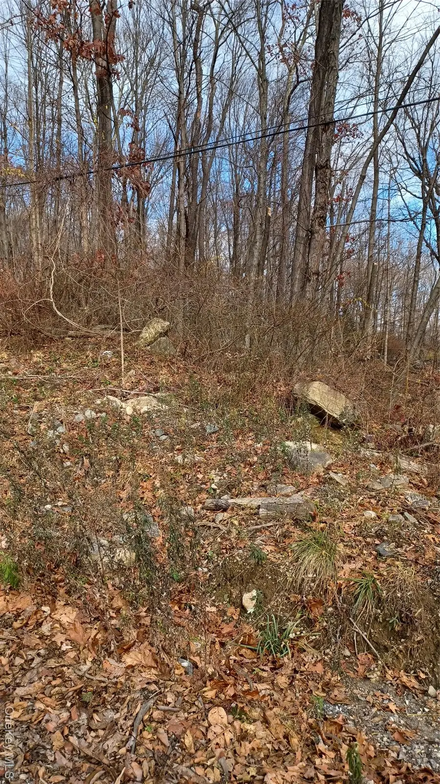 4 Prout Lane, Stormville, NY 12582 - Image #3