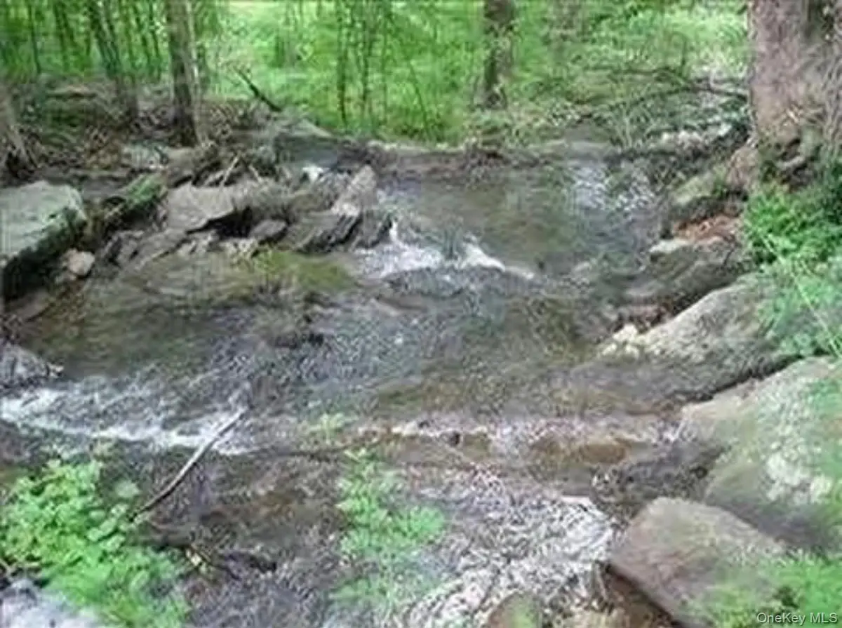 6 Thompson Drive, Staatsburg, NY 12580 - Image #1