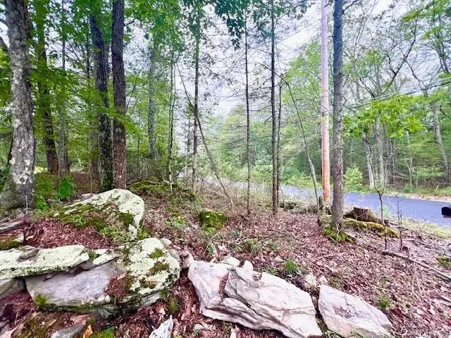 52 Devlin Road, Highland Lake, NY 12743 - Image #2