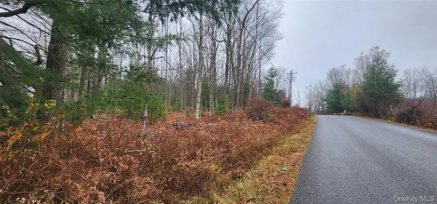 Thompson Road, Fallsburg Town, NY 12784 - Image #2