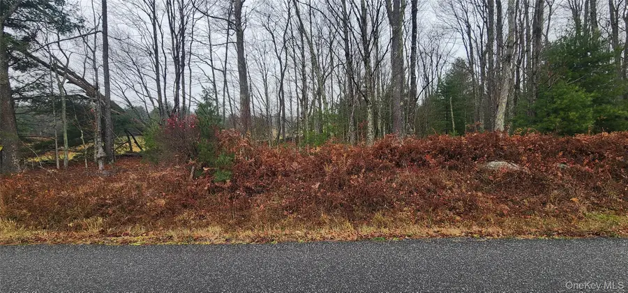 Thompson Road, Fallsburg Town, NY 12784 - Image #3