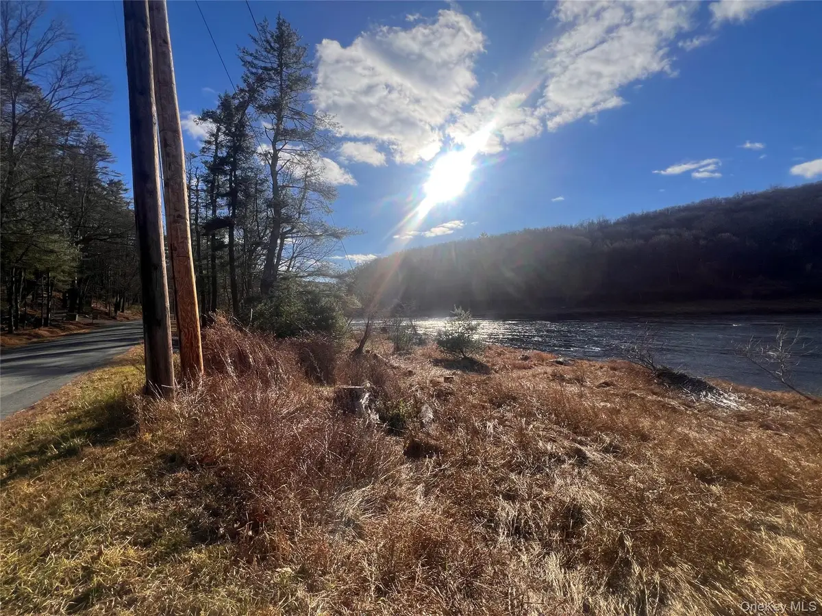 Hankins Rd, Narrowsburg, NY 12764 - Image #1