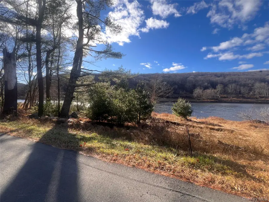 Hankins Rd, Narrowsburg, NY 12764 - Image #3