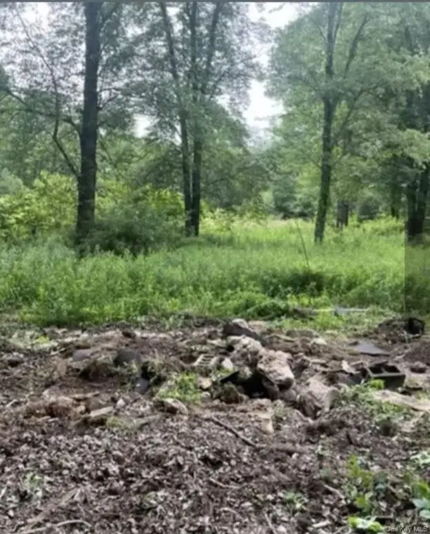 358/80 Ferguson Lane, Wurtsboro, NY 12790 - Image #2