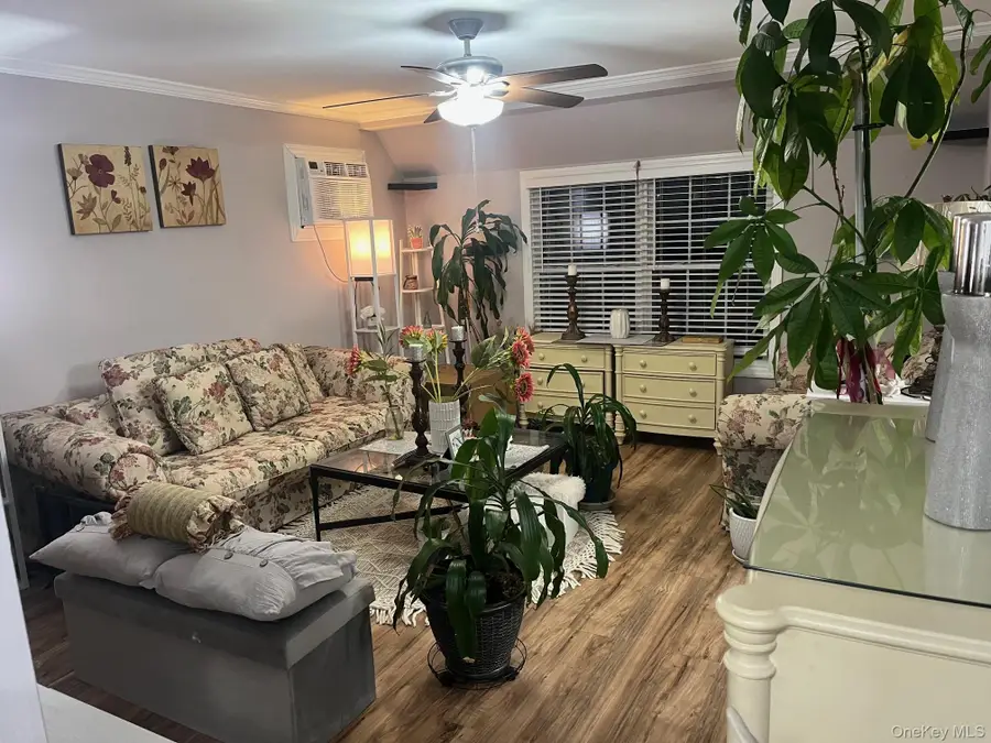 52 Mist Lane, Westbury, NY 11590 - Image #2