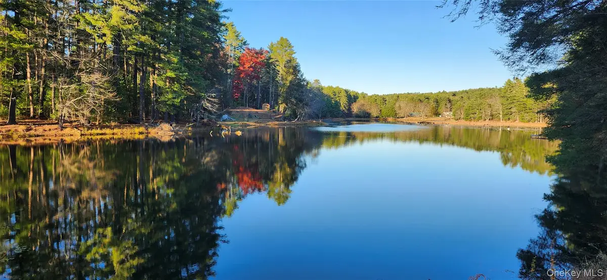 40 Beaver Brook Road, Yulan, NY 12792 - Image #1