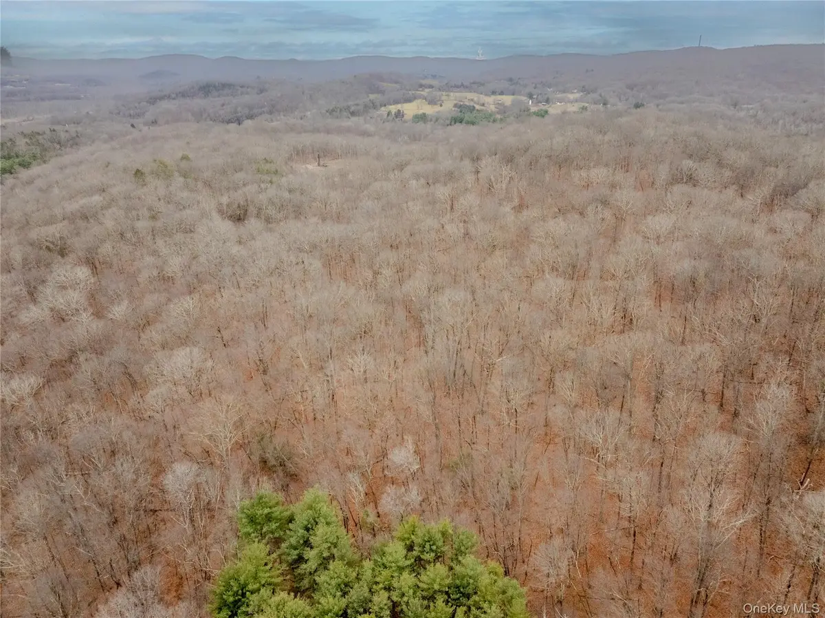 1C Margherita Drive, Pawling, NY 12564 - Image #1