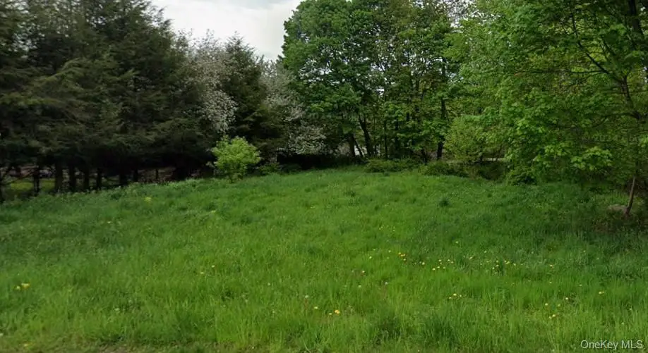 Floral Drive, Monticello, NY 12701 - Image #1