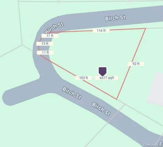 Birch Street, Bloomingburg, NY 12721