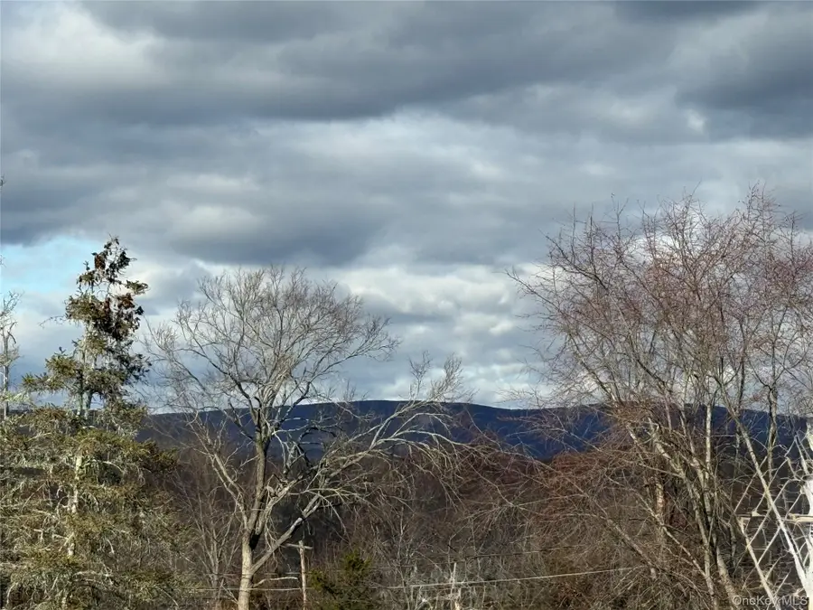 326 Long Lane, Bloomingburg, NY 12721 - Image #3