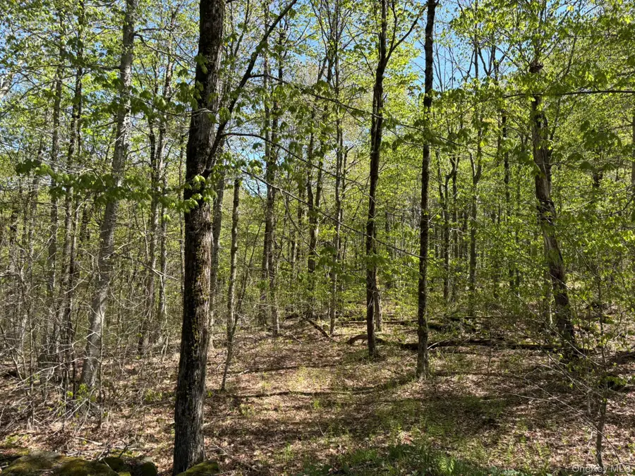 County Hwy 7, Roscoe, NY 12776 - Image #3