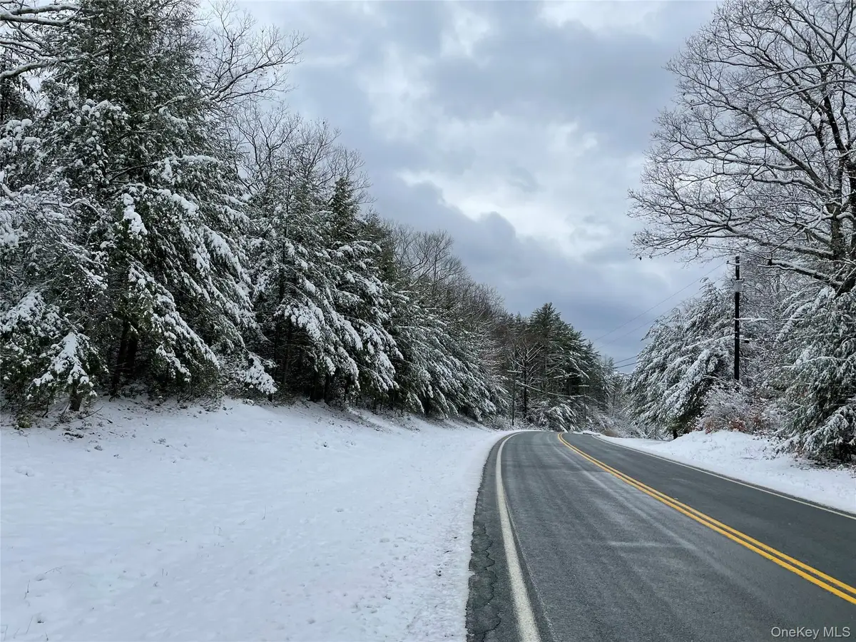 1315 Sackett Lake Rd, Forestburgh, NY 12777 - #1