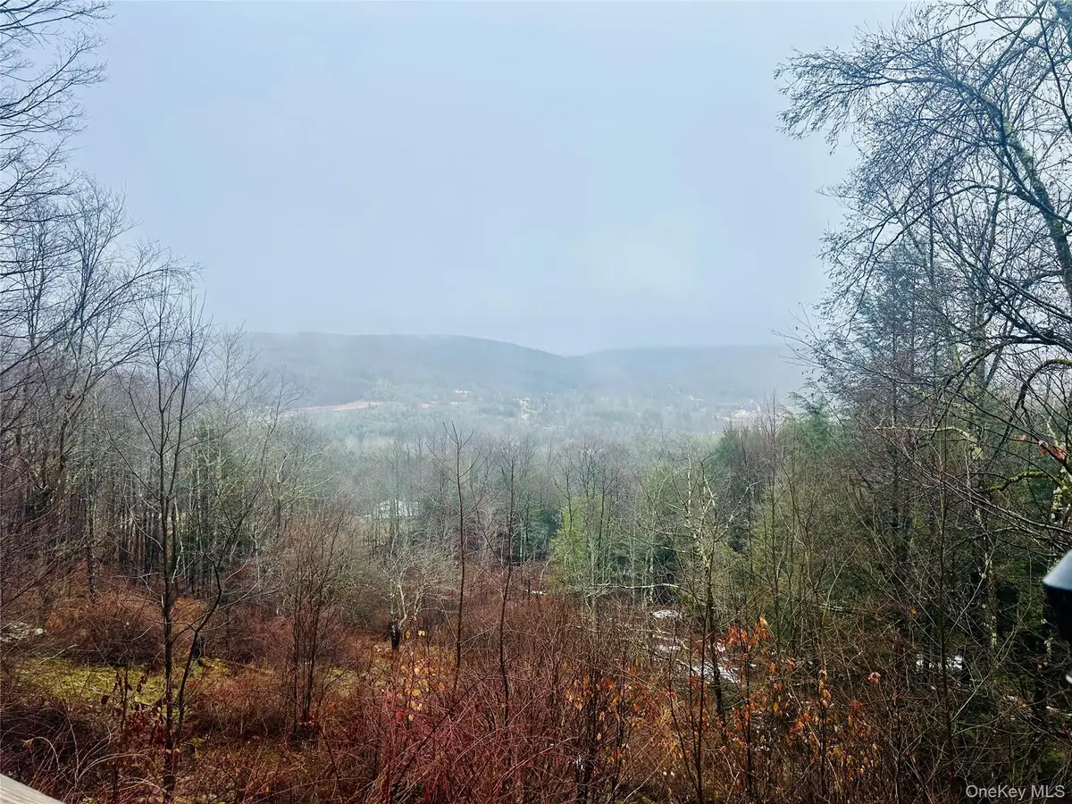 395 Back Shandelee Road, Livingston Manor, NY 12758 - #1