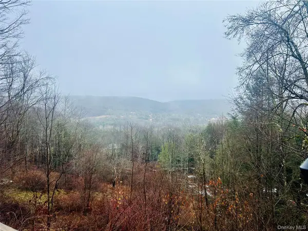 395 Back Shandelee Road, Livingston Manor, NY 12758