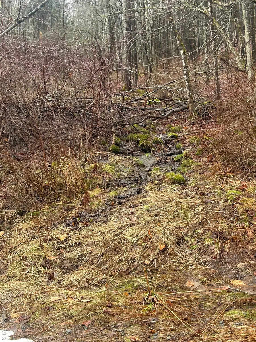 395 Back Shandelee Road, Livingston Manor, NY 12758 - #3