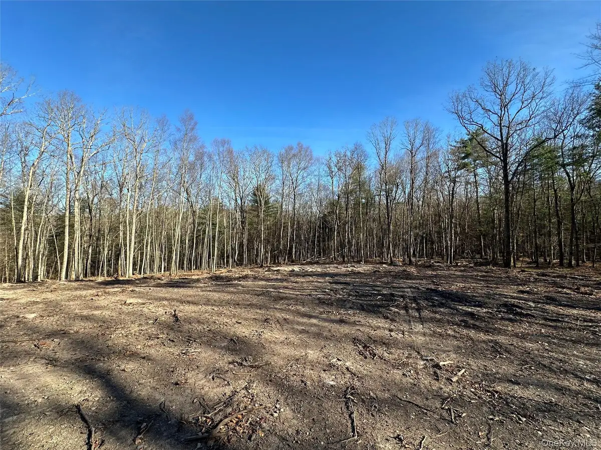 Lot 1.6 Foster (south) Trail, Narrowsburg, NY 12764 - Image #1