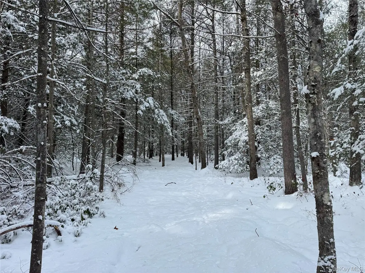 171 Renner Road, Fallsburg Town, NY 12733 - Image #1