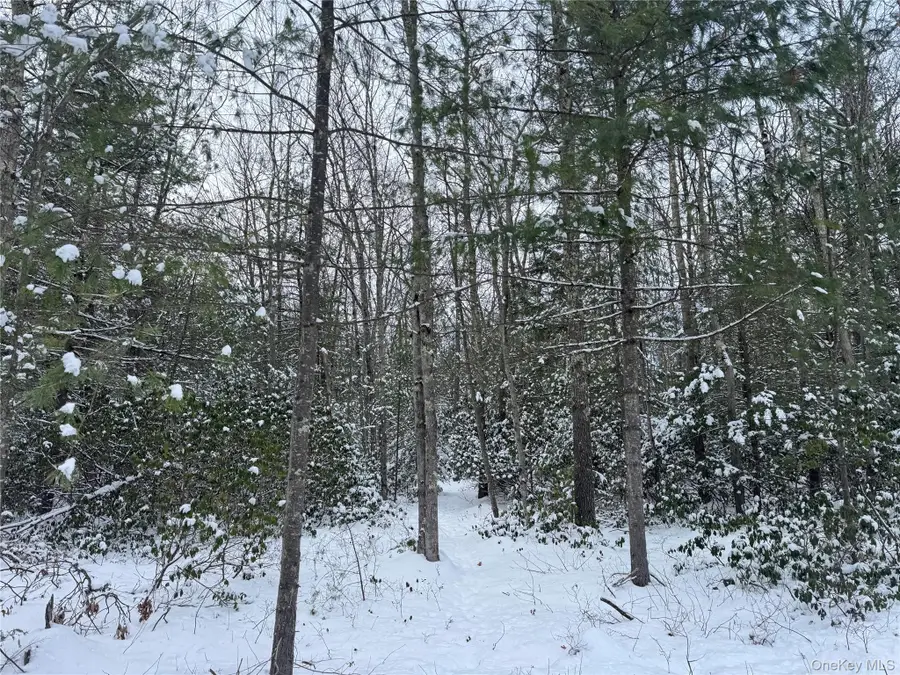 171 Renner Road, Fallsburg Town, NY 12733 - Image #2