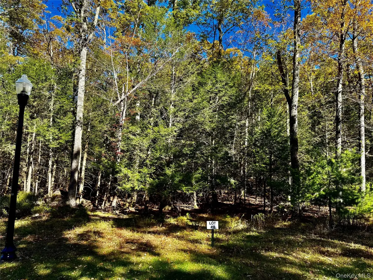 44 Falling Waters Drive, Palenville, NY 12463 - Image #1