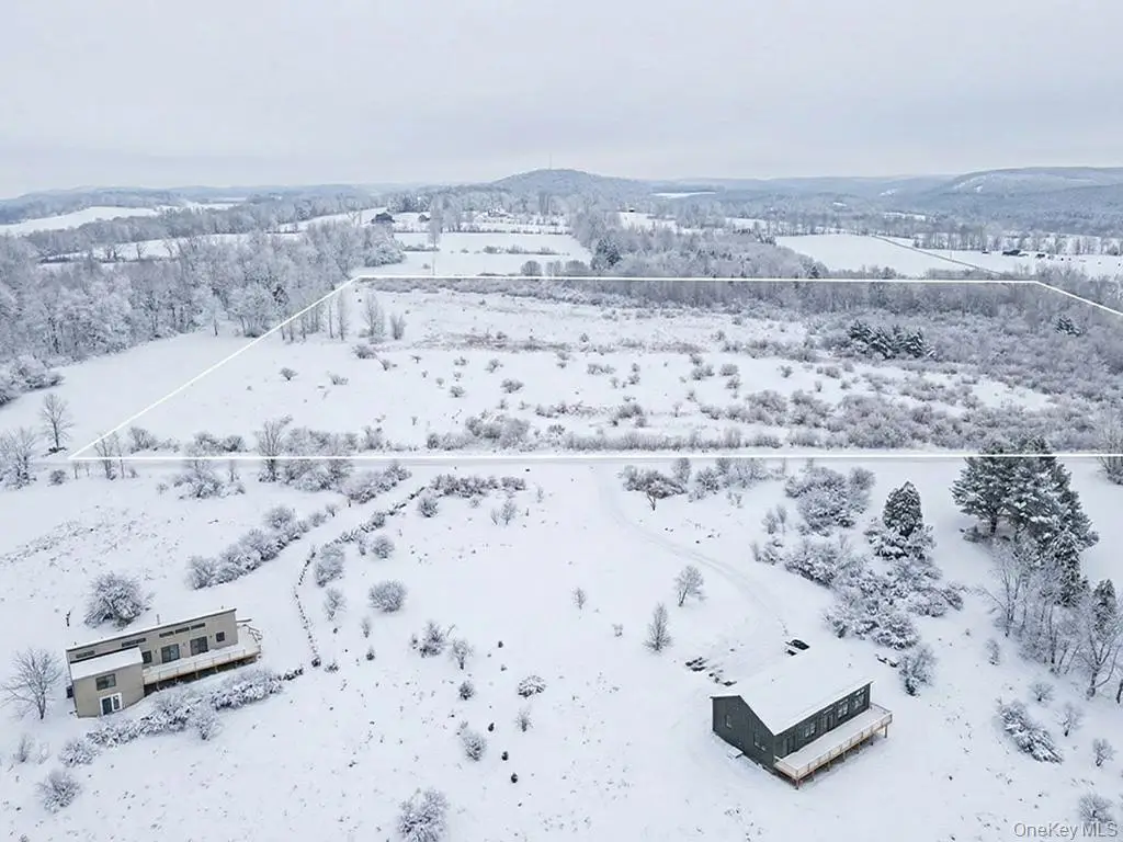 625 Beechwoods Road, Callicoon, NY 12723 - Image #1