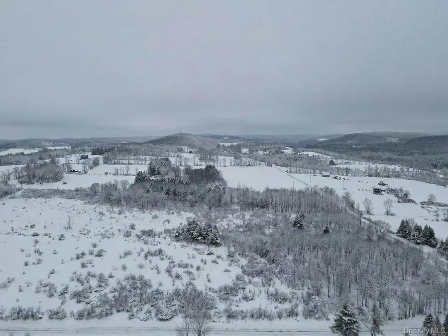 625 Beechwoods Road, Callicoon, NY 12723 - Image #2