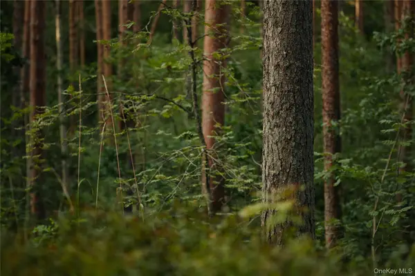 Melzingah Rsvr Road, Beacon, NY 12508