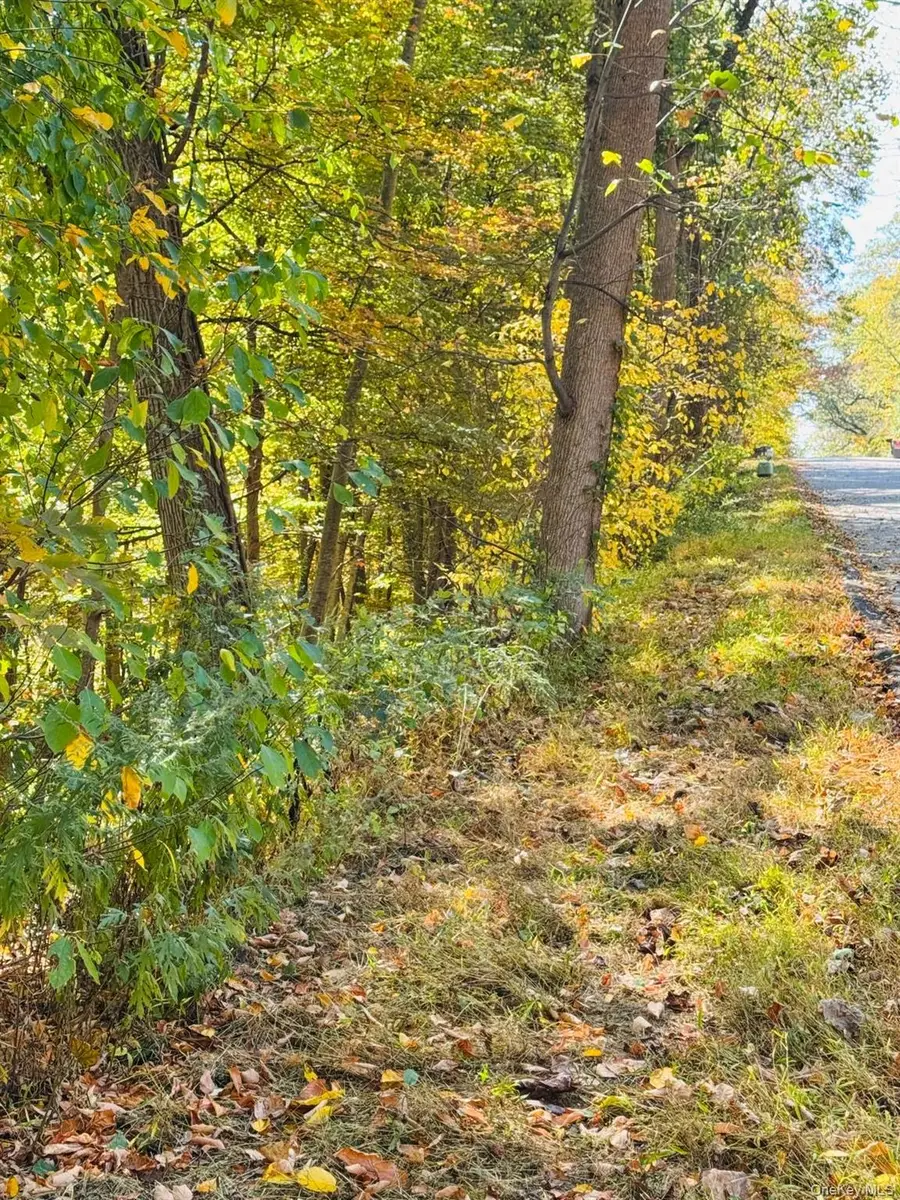 lot 10 Shamrock Drive, Putnam Valley, NY 10579 - #2