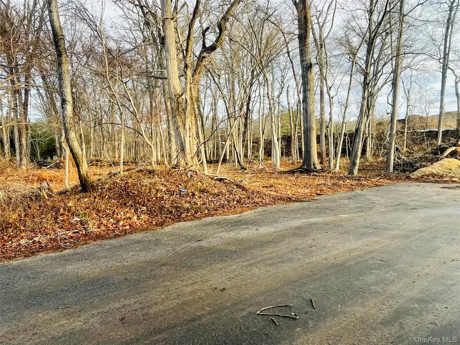 VL Daniel Lane, Middle Island, NY 11953 - #3