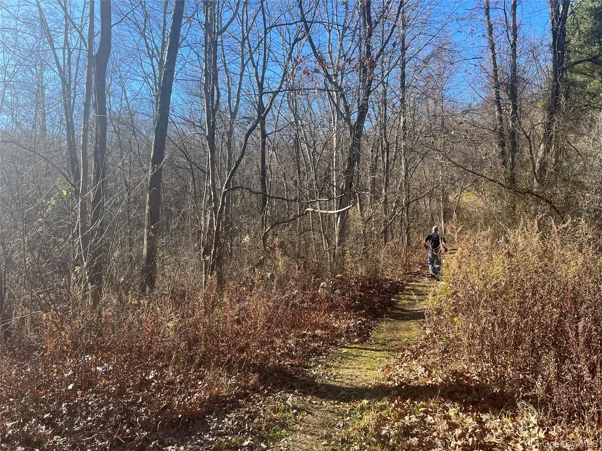 Moon Road, Putnam Valley, NY 10579 - Image #1