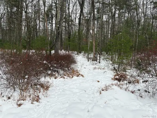 Stege Road, Eldred, NY 12743