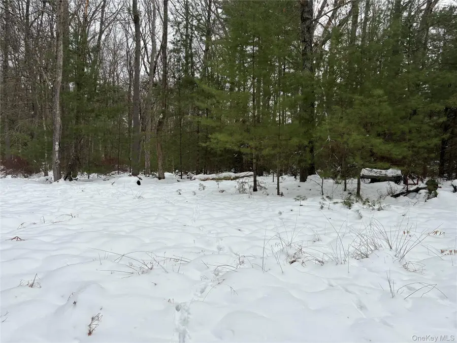 Stege Road, Highland, NY 12743 - Image #2