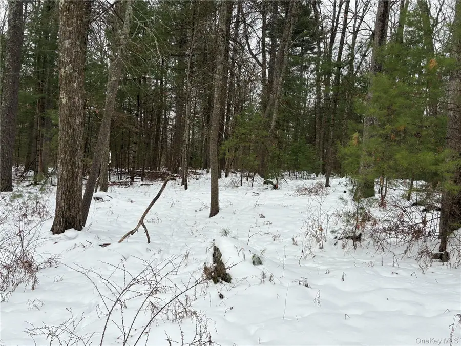 Stege Road, Highland, NY 12743 - Image #3