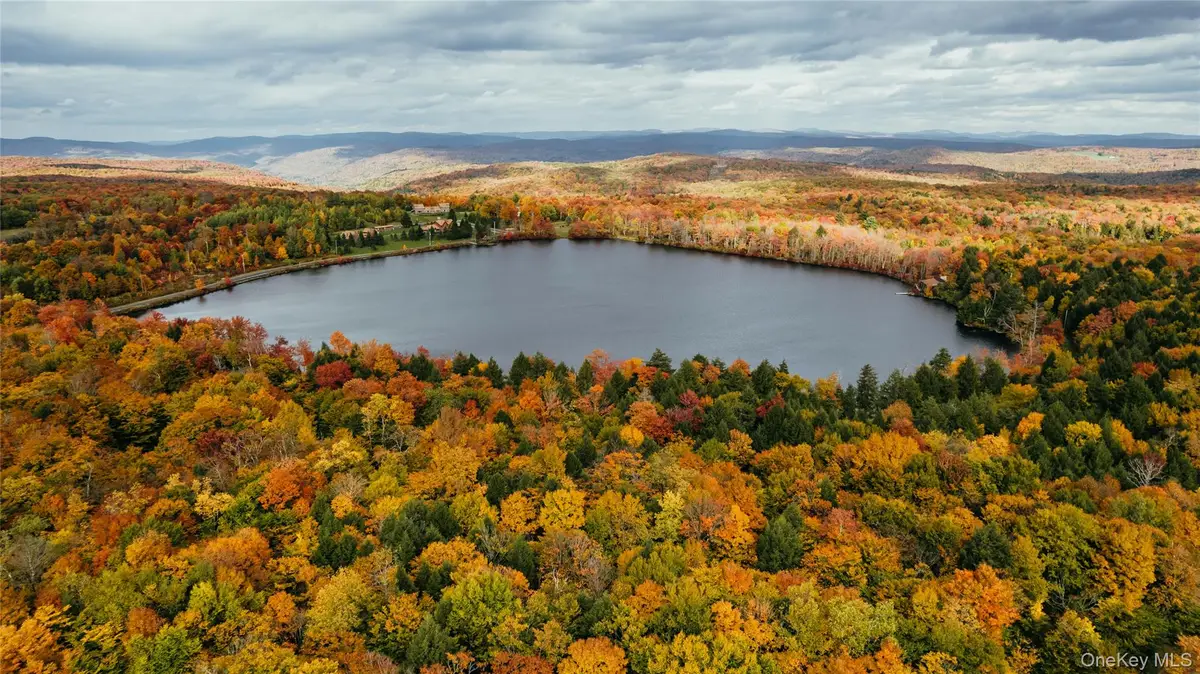 LOT 10 Wood Lake Trail, Callicoon Town, NY 12736 - Image #1