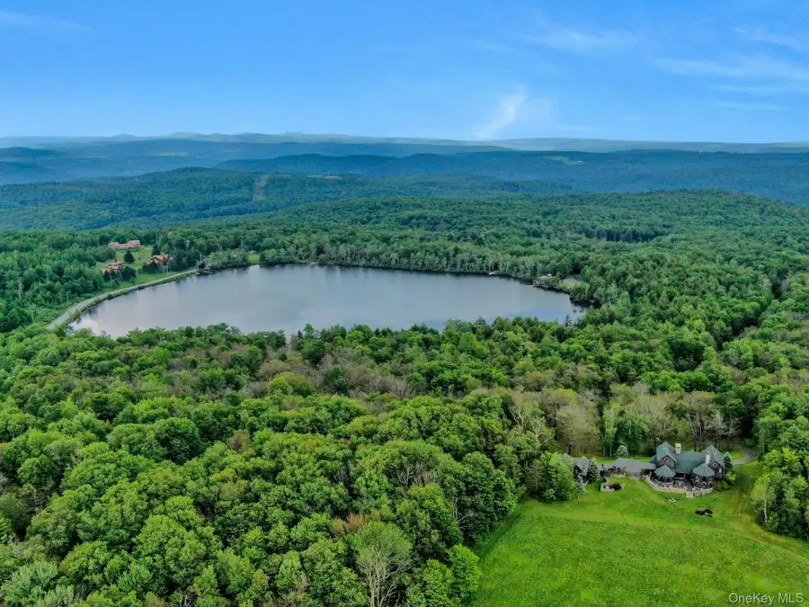 LOT 10 Wood Lake Trail, Callicoon Town, NY 12736 - Image #2